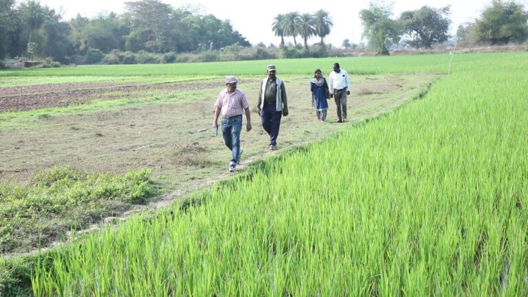 Agriculture Department Officials appreciated Farm Field School at Bantaligaon