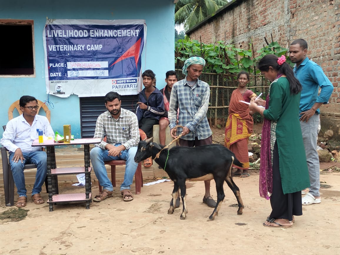 Veterinary Camp in Rayagada, Odisha