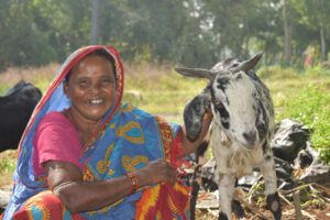 From Dependence To Independence: Basanti’s Goat Farming Story