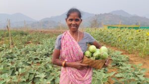 A Woman Farmer’s Success in Organic Brinjal Cultivation