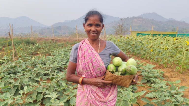 A Woman Farmer’s Success in Organic Brinjal Cultivation